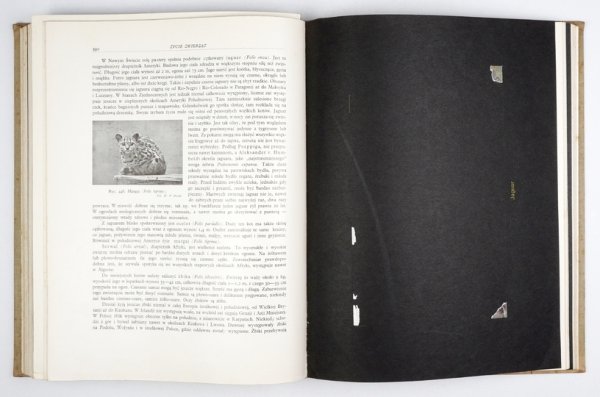 BREHM [Alfred Edmund] - Życie zwierząt. Przekład polski w oprac. G. Dehnela, J. Domaniewskiego [i in.]. Z 1090 ilustr. w tekście oraz wieloma tabl. barwnemi. T. 1-2