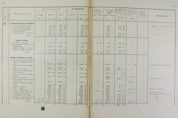 Zamknięcia rachunkowe funduszów Gminy Miasta Krakowa oraz funduszów pod zarządem tejże zostających za okres od 1 stycznia 1914 do 30 czerwca 1915 roku