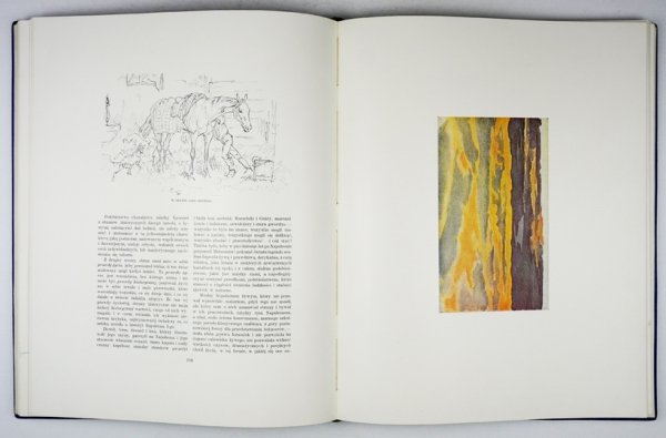 WITKIEWICZ Stanisław - Juljusz Kossak. 260 rys. w tekście, 8 intagliodruków, 6 facsimili kolorowych [...]. Wyd. II rozszerzone.