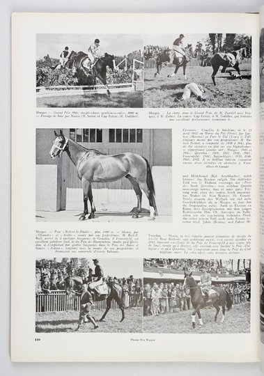 L'ANNÉE Hippique Suisse. XII 1945
