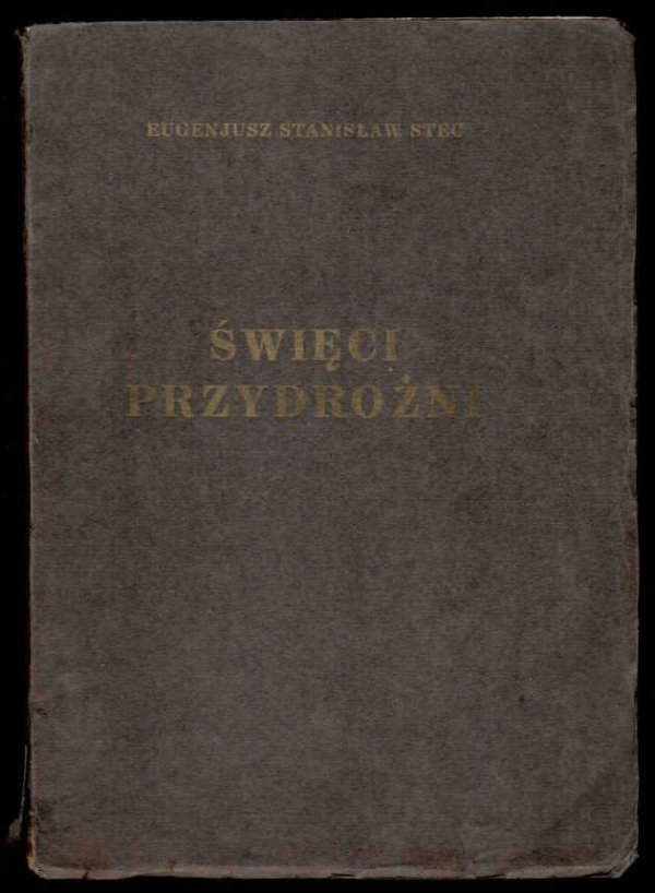 Stec Eugenjusz Stanisław - Święci przydrożni.