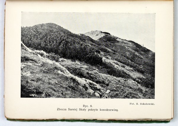 SOKOŁOWSKI Stanisław - Las tatrzański. Z 18 rycinami i 3 mapami.