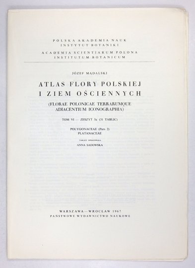 MĄDALSKI Józef - Atlas flory polskiej i ziem ościennych (Florae polonicae terrarumque adiacentium iconographia). T. 6, z. 5a (31 tablic): Polygonaceae (Pars 2) Platanaceae
