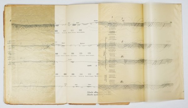 ATLAS geologiczny Galicyi. Zesz. 14. Oprac. J. Grzybowski.