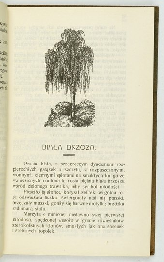 CZERSZYK Marya - Obrazki z przyrody dla dorastającej młodzieży. Z ilustracyami