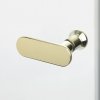 NEW TRENDY Drzwi wnękowe NEW SOLEO LIGHT GOLD PLUS 1D U 110x195 czyste 6mm Active Shield 2.0  wsp. prostopadły D-0941A-WP