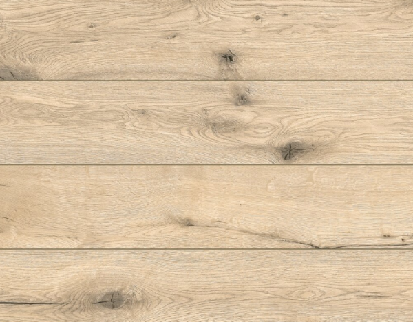 CLASSEN  Panele podłogowe EXPEDITION 4V 55013 DĄB NIASA AC5 8 mm