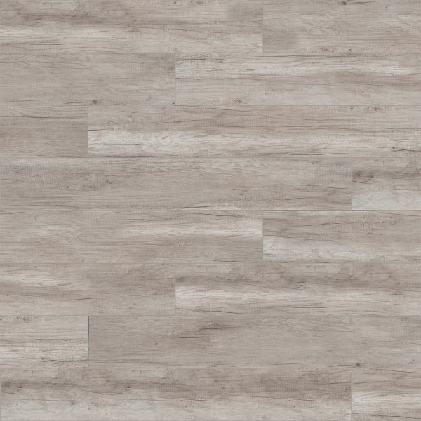 CLASSEN TREND Panele podłogowe 52601 DĄB MAMRY AC5 8 mm 4V