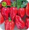 Papryka habanero Calita Red