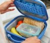 Lunchbox dla dzieci Small Hydro Flask 3500 ml bordowy PEONY