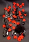 Lovetoy Starter Kit Black