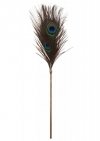 Peacock Tickler Rose Gold