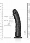 Curved Realistic Dildo with Suction Cup - 9/ 23 cm