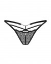 Iliosa stringi   S/M