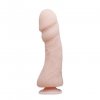 BAILE - The Big Penis, Vibration, Suction base