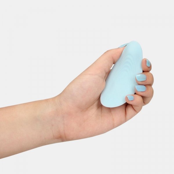 Panty Vibrator with Remote Control