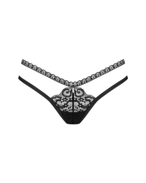 Blomentis stringi  M/L
