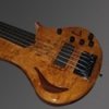 FFB5 AS BS GUITARS