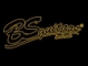 BS GUITARS