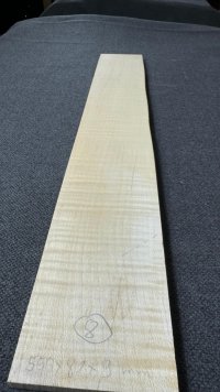 Podstrunnica Klon Falisty 8 