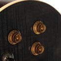 AVIATOR LP BS GUITARS