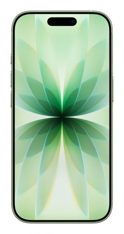 Apple iPhone 17 16 cm (6.3") Dual SIM iOS 26 5G USB Type-C 256 GB Szałwia