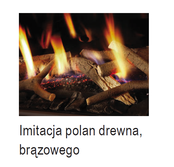 KOMINEK GAZOWY DRU Global 55XT BF RCE