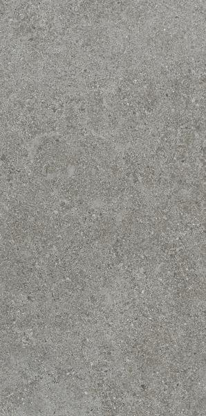 PARADYZ KW autrim grey mat 298x598 mm Opak. 1.43 g1 m2