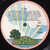 El Pea (2LP)
