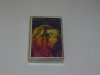 Robert Plant - Manic Nirvana (MC)