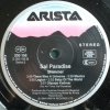Sal Paradise - Shimmer (LP)