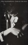 The Waterboys - This Is The Sea (MC)