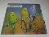 Rain Parade - Beyond The Sunset (LP)