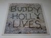 Buddy Holly & The Crickets - 20 Golden Greats (LP)