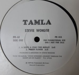 Stevie Wonder - A Seed's A Star / Tree Medley (12'')