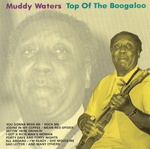 Muddy Waters - Top Of The Boogaloo (CD)