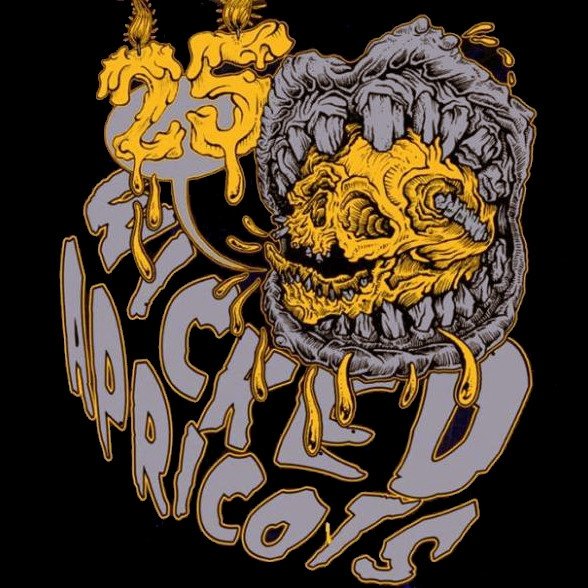 Wicked Apricots - 25 (LP)