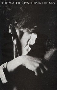 The Waterboys - This Is The Sea (MC)