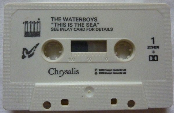 The Waterboys - This Is The Sea (MC)