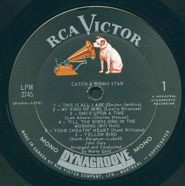 John Gary - Catch A Rising Star (LP)