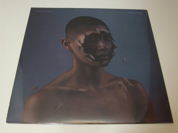 Manchester Orchestra - The Valley Of Vision (LP)