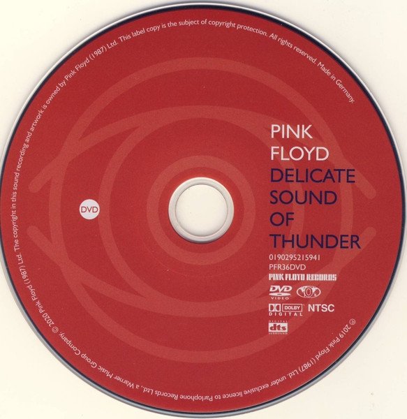 Pink Floyd - Delicate Sound Of Thunder (DVD)