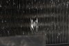 _Intercooler Mercedes C-klasa W203