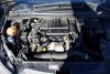 Klapa Bagażnika Tył Citroen C4 2004 1.6HDI Hatchback 5-drzwi (goła klapa bez osprzętu)