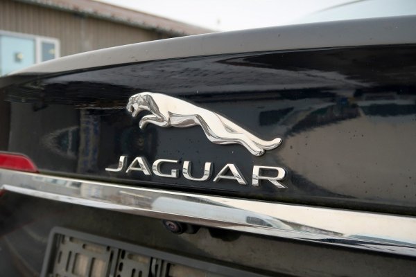 _Belka zderzaka przód Jaguar XF X260 2016 Sedan