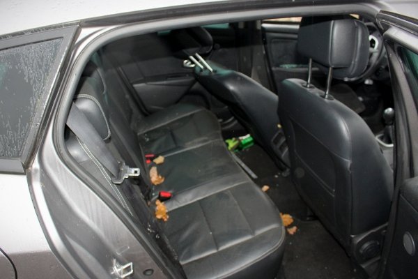 Relingi Renault Megane III 2009  (2008-2012) Kombi 