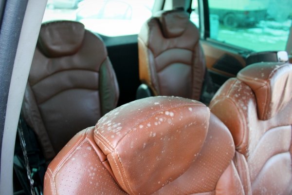 Zderzak przód Lancia Phedra 2010 Van 