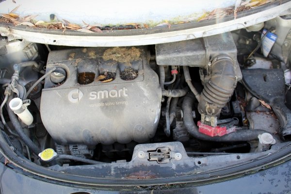 Drzwi przód prawe Smart Forfour 2004 Hatchback 5-drzwi 