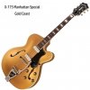 Guild X-175 Manhattan Special Gold Coast Hollow Body