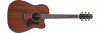 Ibanez AAD440CE-LGS Platinum Collection